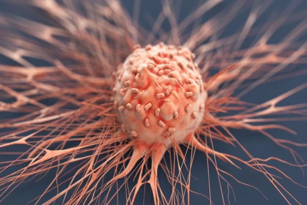 मांस खाने वाले दुर्लभ बैक्टीरिया का शिकार हुई महिला, डॉक्टरों ने बचाया bacteria 16786437843x2 1 - The News Chakra