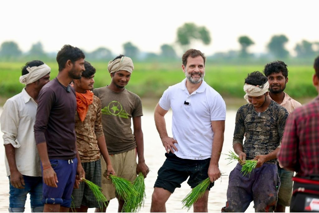 राहुल गांधी ने किसानों के साथ धान की रोपाई कीखेतों में ट्रैक्टर चलाया; दिल्ली से शिमला जाते वक्त सोनीपत के मदीना गांव में रुके cr 20230708en64a919eb373c5 - The News Chakra