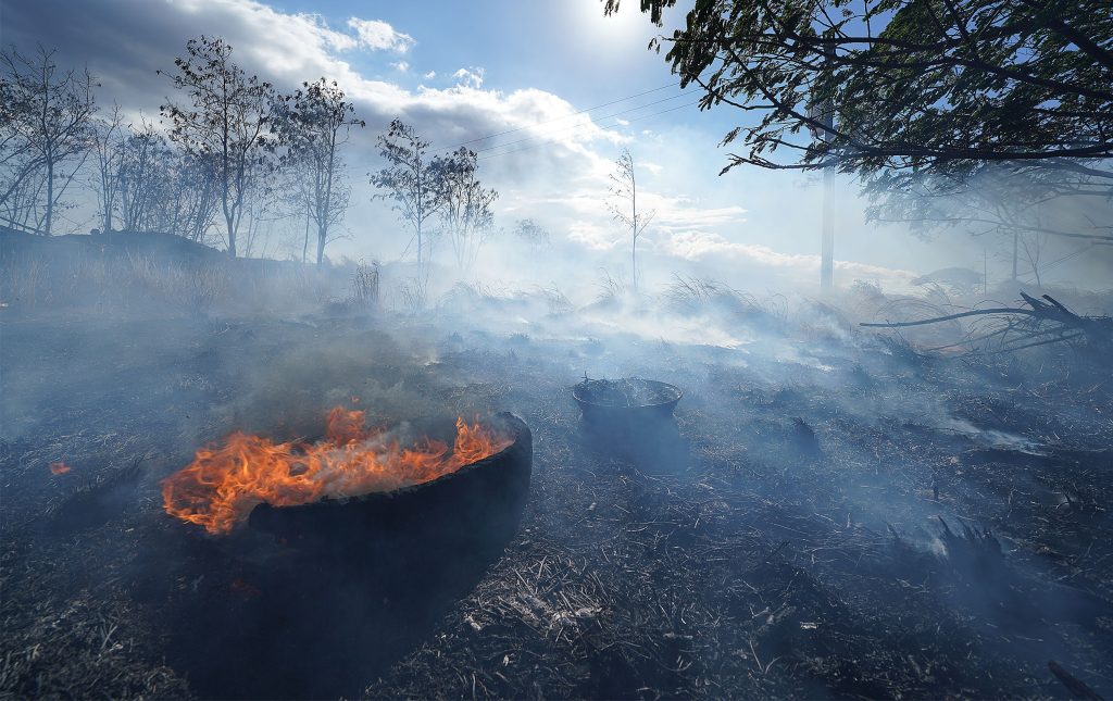 Maui Brush Fire on Pulehu Road - The News Chakra